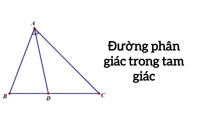 Tìm hiểu chi tiết về đường phân giác trong tam giác 